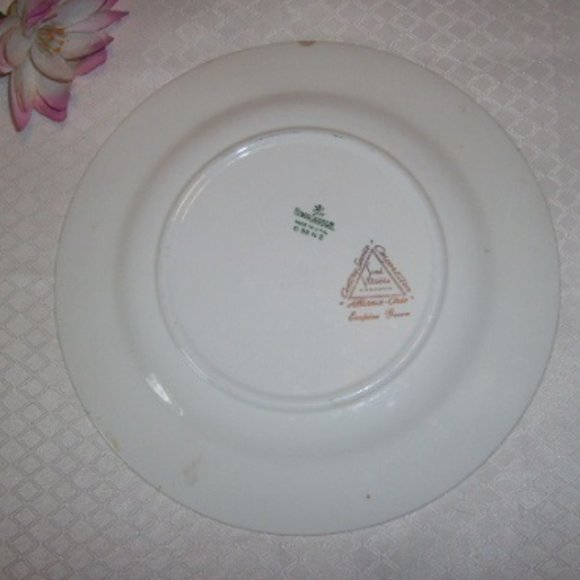 Beautiful Plate 10" Platter/Dinner Homer Laughlin Semi Vitreous Dinnerware Peony - Picture 3 of 4